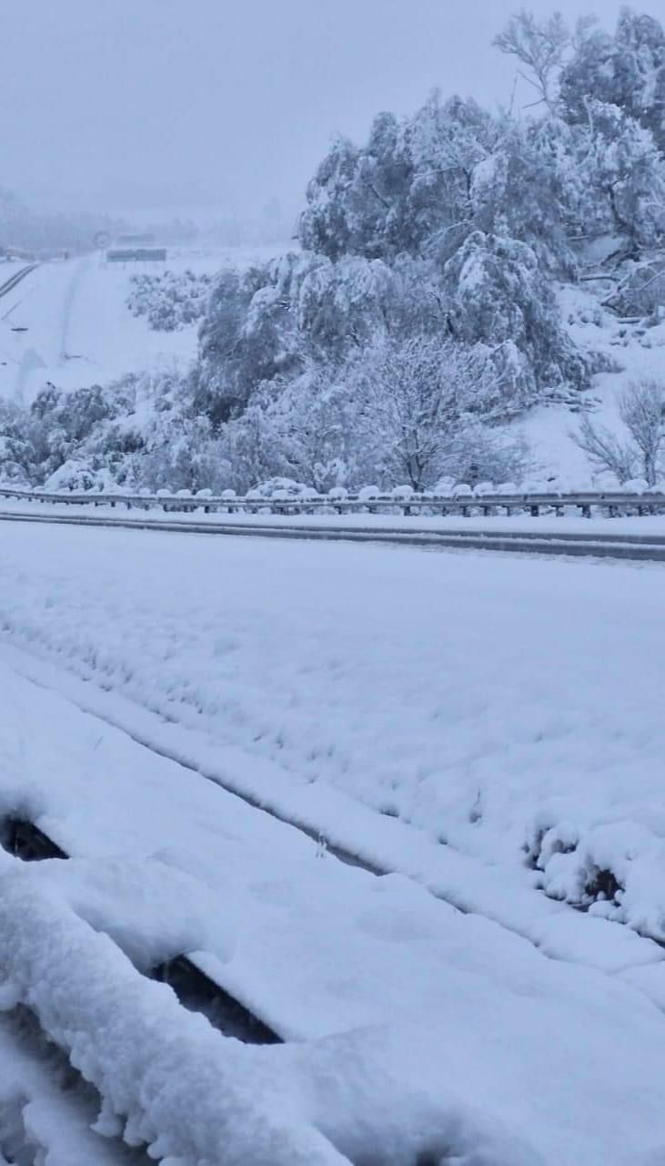 Overnight snowfall claims one Life in Merrivale